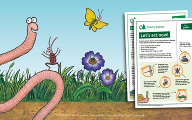 Superworm with educational activity sheets 