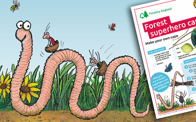 Superworm and activity sheets