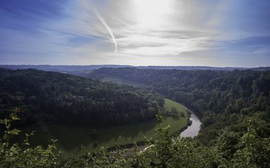 Stunning viewpoint over forest landscape with blue sunny skies