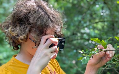 Young teenage girl in yellow t-shirt taking a photograph of a leaf on a handheld camera.