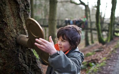 Boy turning key on tree