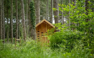 Kielder Forest