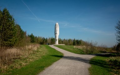 The Dream, art sculpture image at Sutton Manor forest 