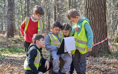 A group of five school children in the forest, wearing high-vis vests and looking at a clipboard