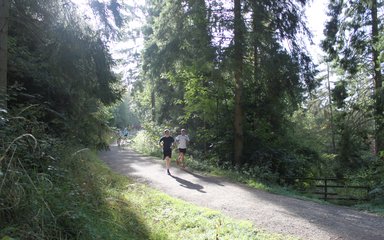 Wendover woods parkrun