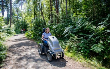 Trampers at Bedgebury 