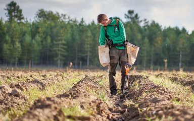 Man holding bags containing saplings planting in the forest