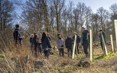 group of people learning about tree planting in a forest