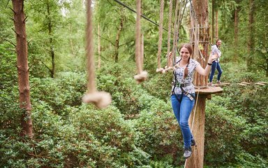 Go Ape tree top adventure crossing