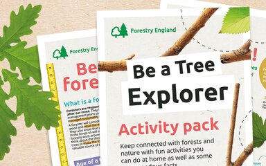 Tree Explorer activity pack 