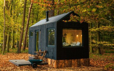 Unyoked off-grid cabin in an autumnal forest