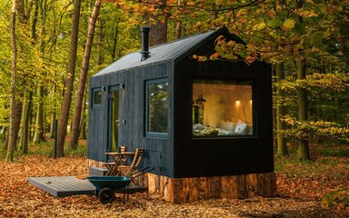 Unyoked off-grid cabin in an autumnal forest