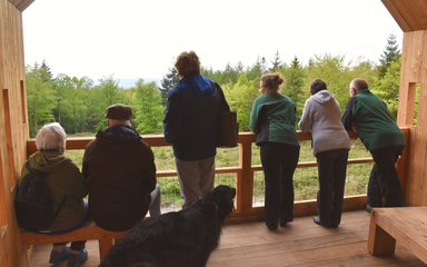 people at a viewpoint looking out to tree canopy