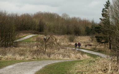 A couple walking at Viridor Woods in the north west