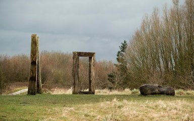 Wood sculptures at Viridor Wood