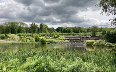 A view across the visitor centre and lake at Bedgebury Pinetum in Summer