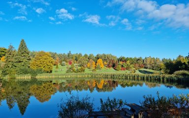 A view over a lake towards a bank of colourful trees with azure blue sky 