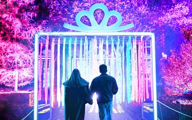 A couple walking under a present installation on an illuminated trail