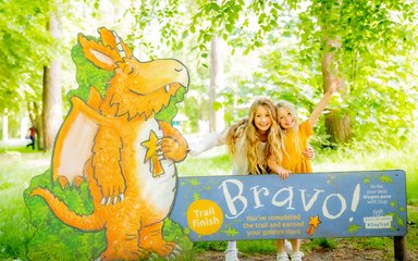 Zog Bravo Summer 