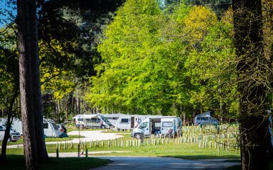 Camper vans in the forest