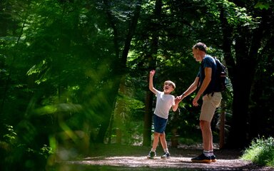 A young boy holding hands with his father points up into a dense forest.