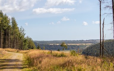 A viewpoint of forest and arable land
