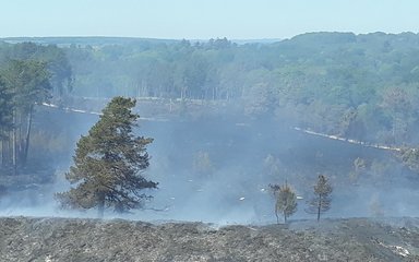 Smoke from Wareham forest fire