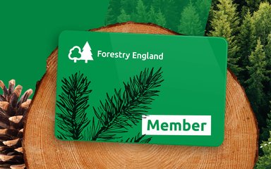Forestry England Gift membership