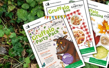 Gruffalo party pack