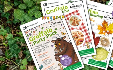 Gruffalo party pack 