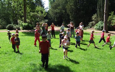 Children playing in the woods 