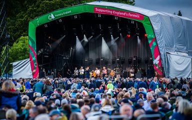 The forest live stage at Westonbirt Arboretum
