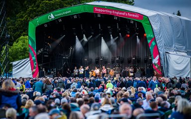 The forest live stage at Westonbirt Arboretum 