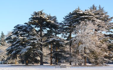 Winter family trail