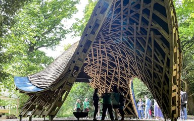 A wooden structure shaped like an armadillo shell made from long wooden laths and wooden shingles to create a Community Shelter