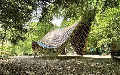 A wooden structure shaped like an armadillo shell made from long wooden laths and wooden shingles to create a Community Shelter