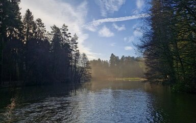 An early morning view of the lake at Mallards Pike.