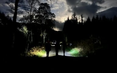 Three people walking along a forest road in the dark with torches