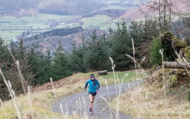 Whinlatter 5km running trail