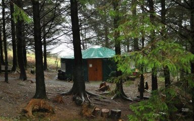 A green yurt pictured in a clearing amongst trees in the forest