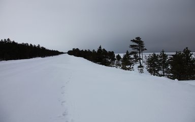 White sea coast Russia