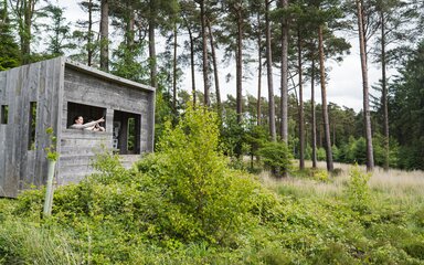 Forest visitors in a wildlife hide surrounded by scrubby undergrowth