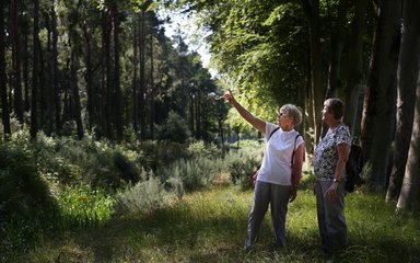 Two people in a sunny, grassy clearing amid pine trees