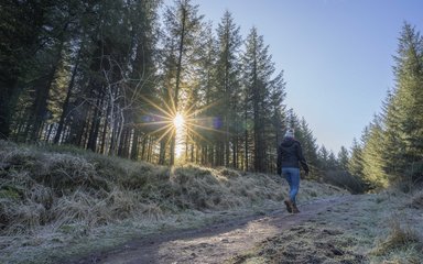 Woman walking on frosty forest path