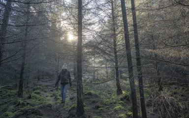 Woman walking in frosty winter forest
