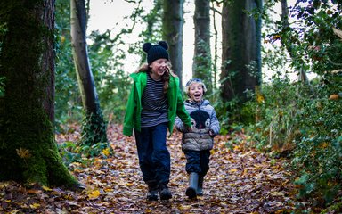 Winter Westonbirt