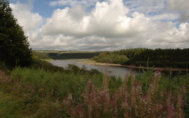 Wistlandpound reservoir from a distance 