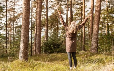 Woman in woodland