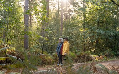 Women walking in the woods