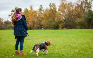 Woman and dog looking out over field 